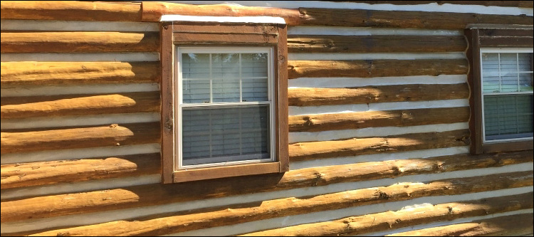 Log Home Whole Log Replacement  Columbia,  North Carolina