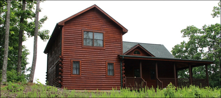Professional Log Home Borate Application  Tyrrell County,  North Carolina